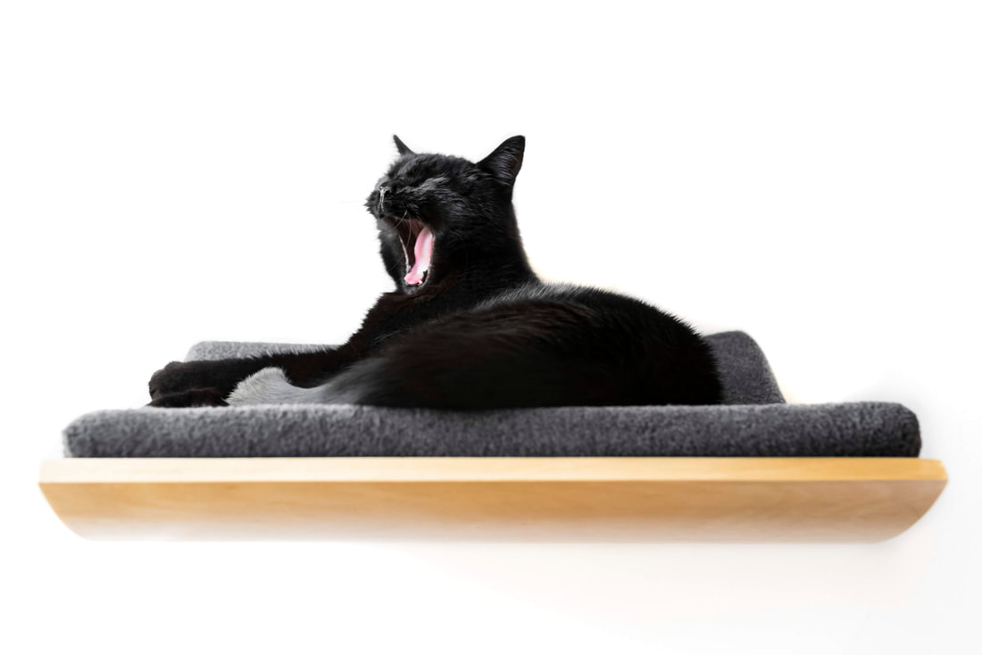 Akemi Tanaka Home For a cat your house is a kingdom, and it often looks for some high points.